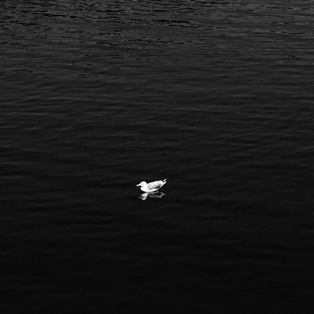 Black and white