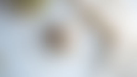 Picla tuntee tuotteensa