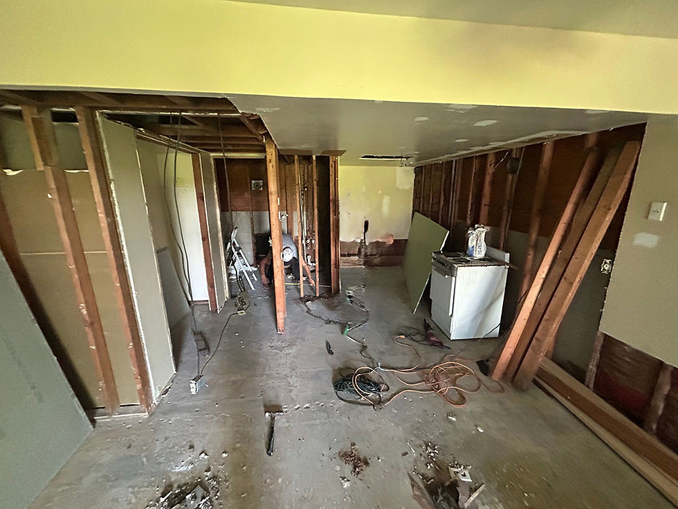 3-Jul 09 2024 11_10am-2gYG.jpg