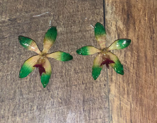 Thumbnail: Medium Green Tiger Cattleya Orchid in Resin
