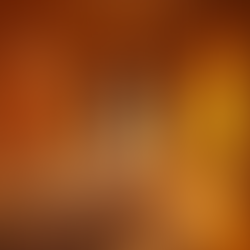 Discovering the Treasures of Puerto Plata: Amber Museum and Museo Del Larimar