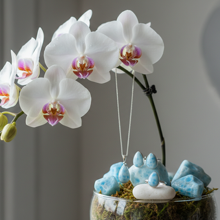 Home Orchid Care: A Gentle Guide to Nurturing Your Blossoms