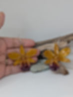 Thumbnail: Honey Dendrobium Resin Earrings