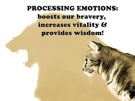 (Challenge 2 - Page 30) PROCESSING EMOTIONS: boosts our bravery, increases vitality & wisdom!