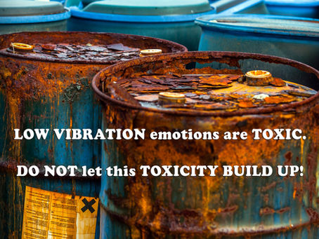 (Challenge 2 - Page 24) LOW VIBRATION emotions are TOXIC. DO NOT let this TOXICITY BUILD UP!