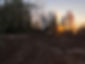 Land CLearing in the Fraser Valley