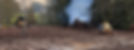 Land clearing lower mainland