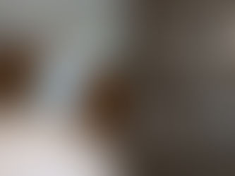 3-Zimmer Wohnung zur Miete