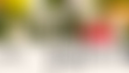 Advent im Trostraum St. Josef