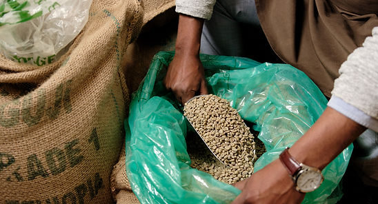 Ethiopian Green Coffee Beans