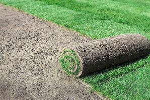 lawn care Charly Landscaping and Design