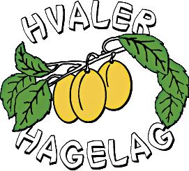 Logo2.gif