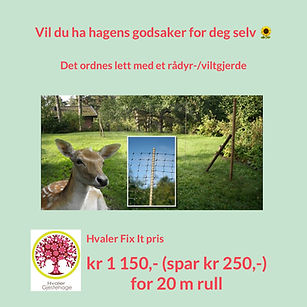 Viltgjerde.JPG