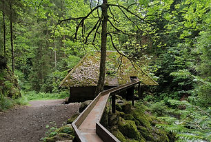 Ravennaschlucht (c) Sophie Hof.jpg