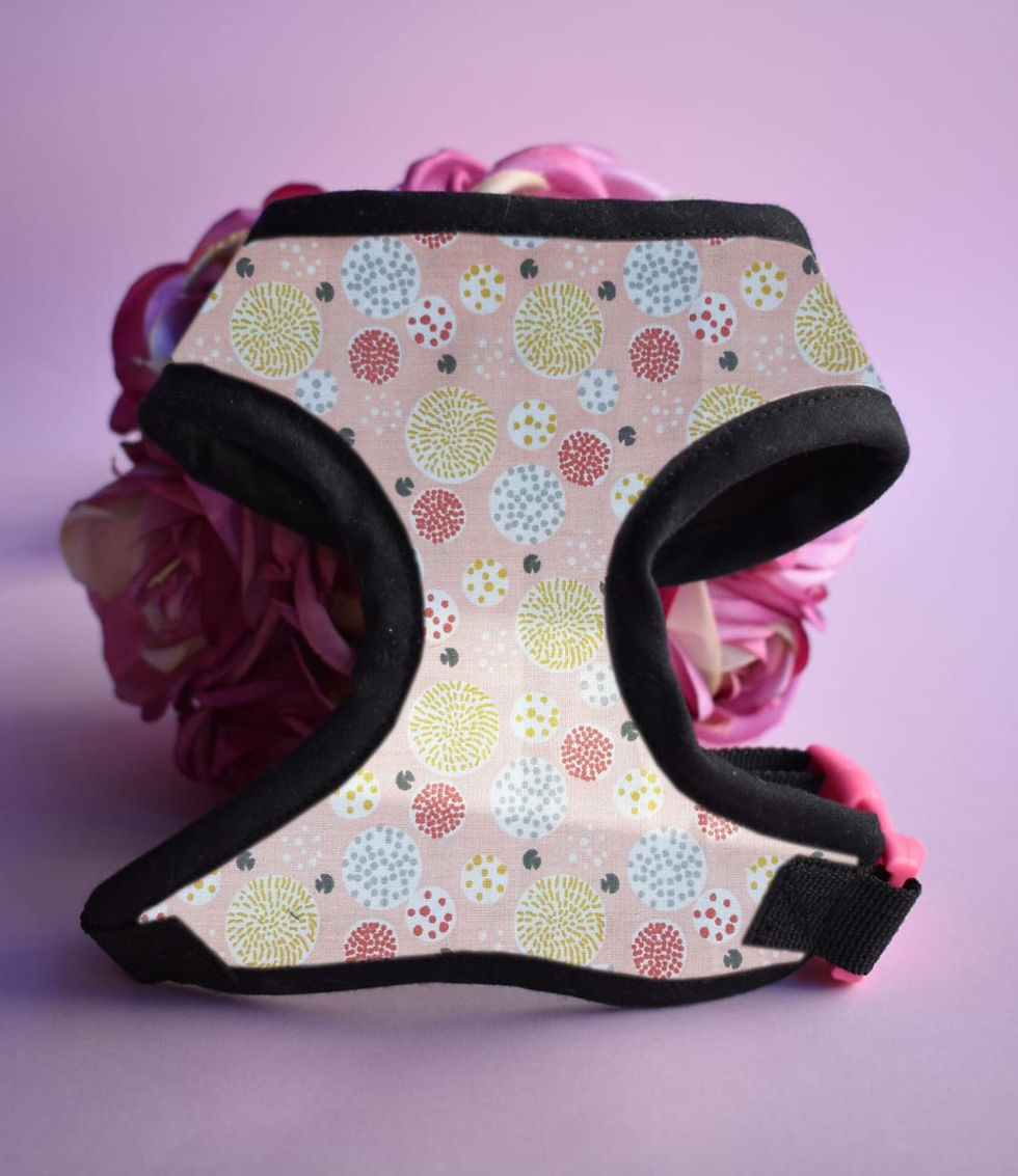 Candy World Chest Harness