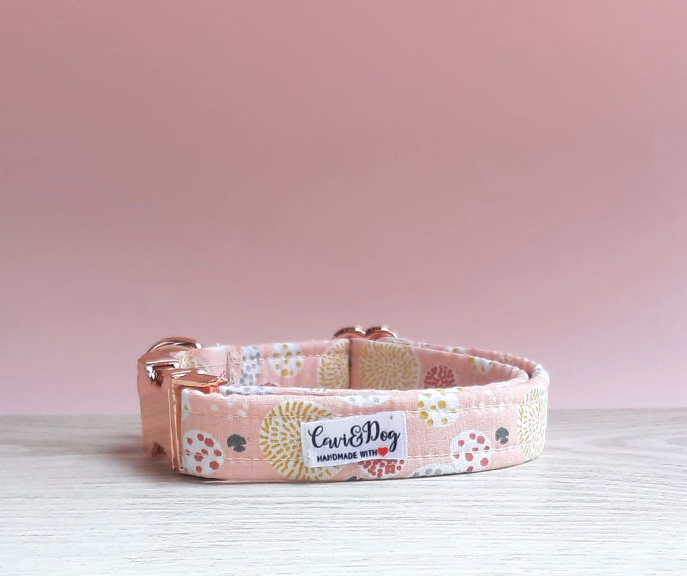Candy World Dog Collar