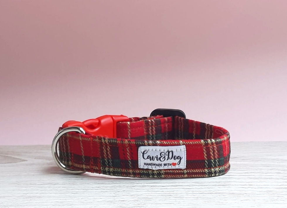 Scottish Dog Collar
