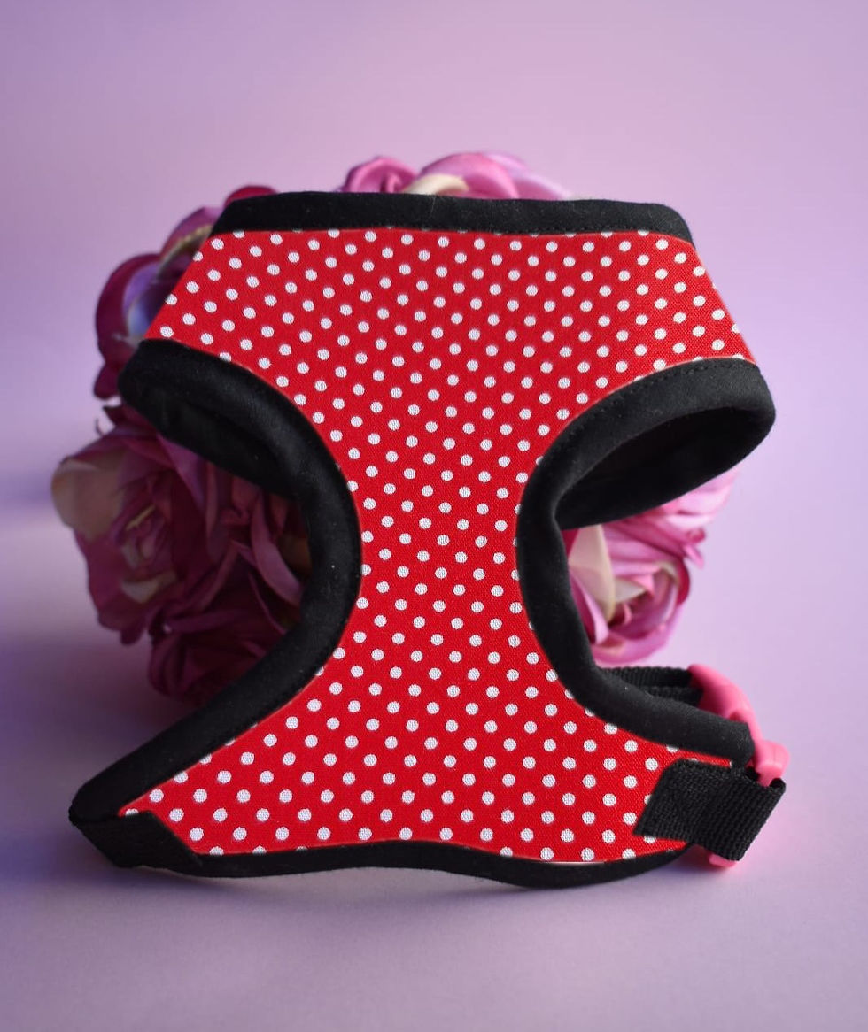 Seville Chest Harness