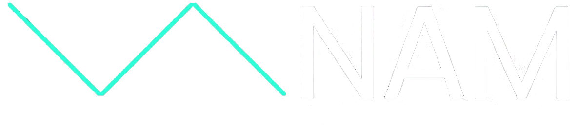 Logo NAM WHITE + TEAL WAVEFORM NO BACKGROUND.png