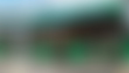 Nouveaux bus E à double articulation pour la ligne 50