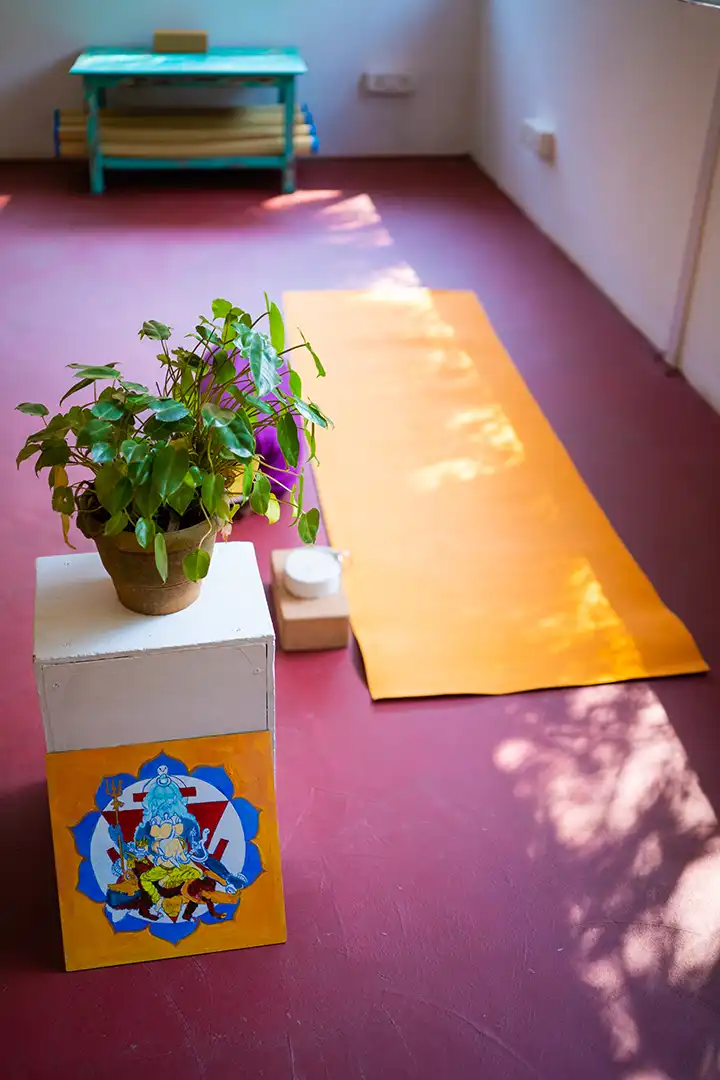 yellow yoga mat near a plant and yoga brick at shala of satvan yoga, goa