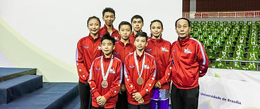 wayland-li-wushu-world-junior-wushu-brazil-team-canada-2018-31.jpg