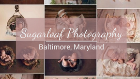 Sugarloaf Photography