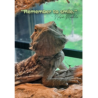 viewremembertosmilephone.jpg