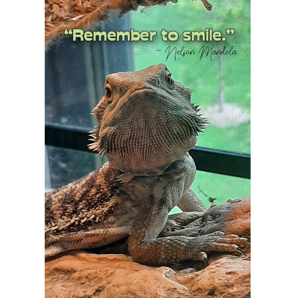 Remember to Smile phone