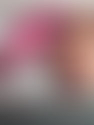 DECEMBER 2025 WRAP UP