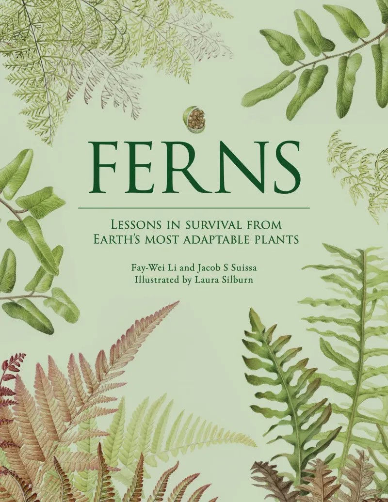 Ferns: Lessons in Survival from Earth’s Most Adaptable Plants