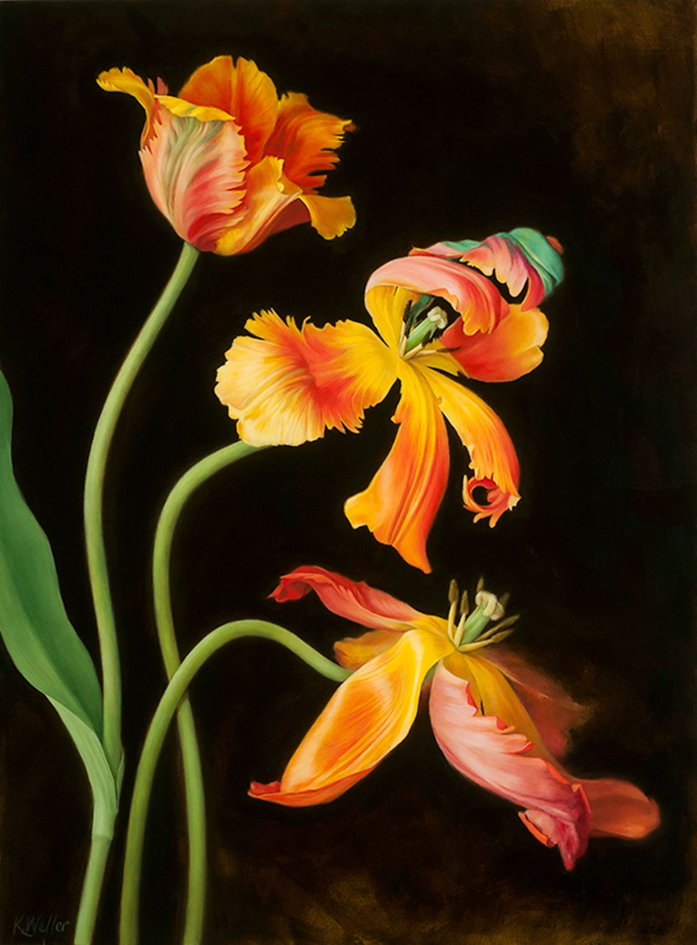 Parrot Tulips, Oil on panel by Kerri Weller; image courtesy of the publisher.