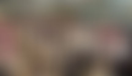 The Young Botanical Artist Competition: Welcoming a new generation of botanical artists!