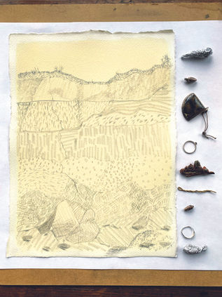 Drawn from the Wild by Caroline Ross