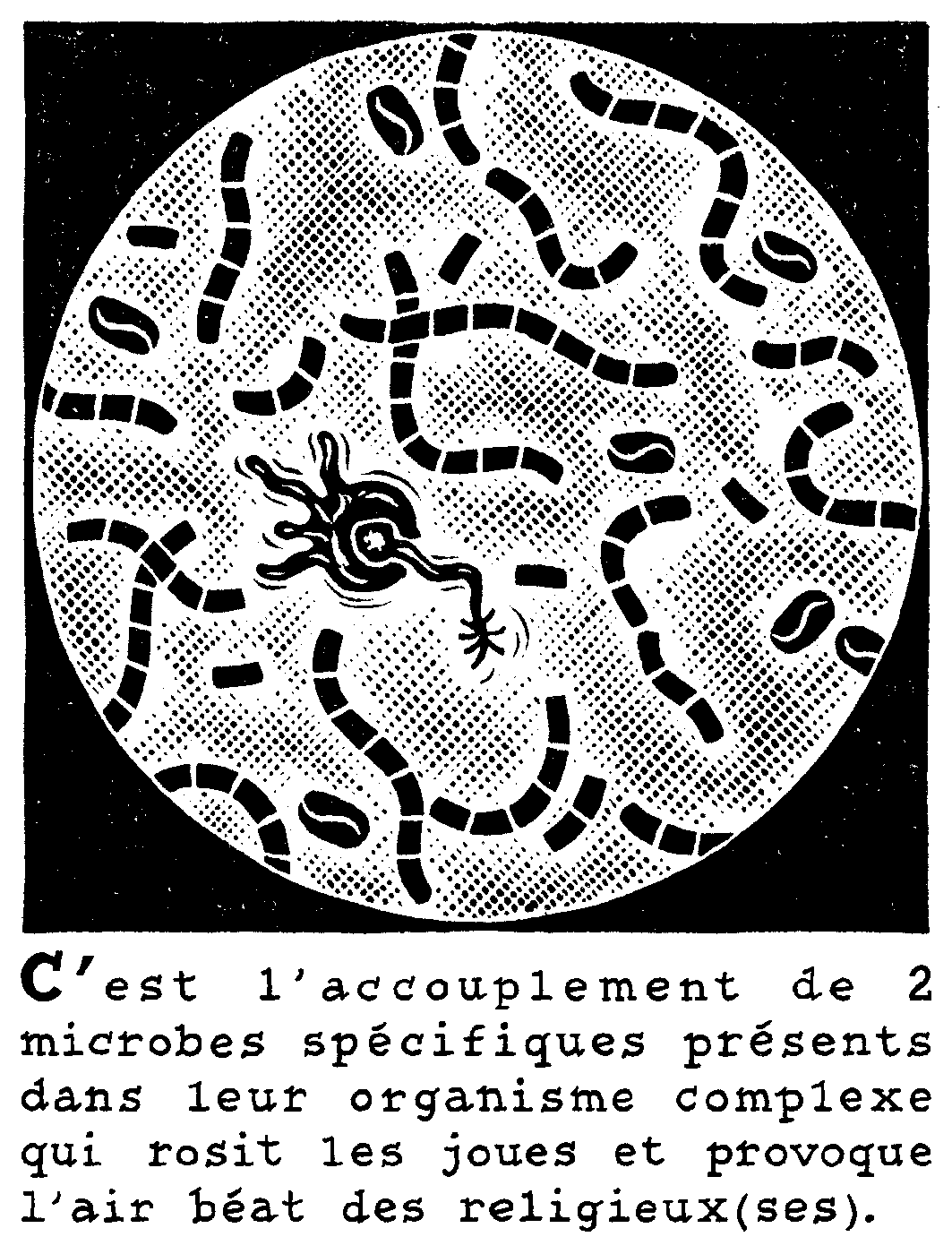 gravure, dessin, poucentage, statistique, accouplement, microbes, religieux, religieuses, air beat  