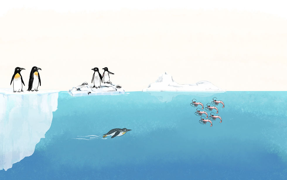 Lavy Penguin figure V2