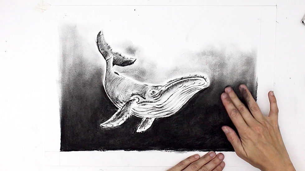 Whale drawing in progress