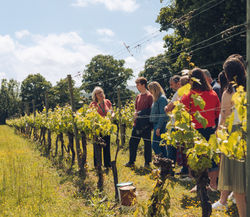 Ridgeview tour_edited