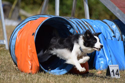 47689357_283789092277610_8160274030872494080_n