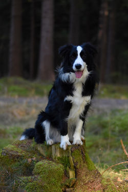 48375042_984650138385642_299602251255644160_n