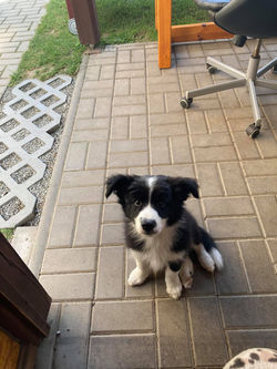 224017324_806558466890856_7851177067308347189_n