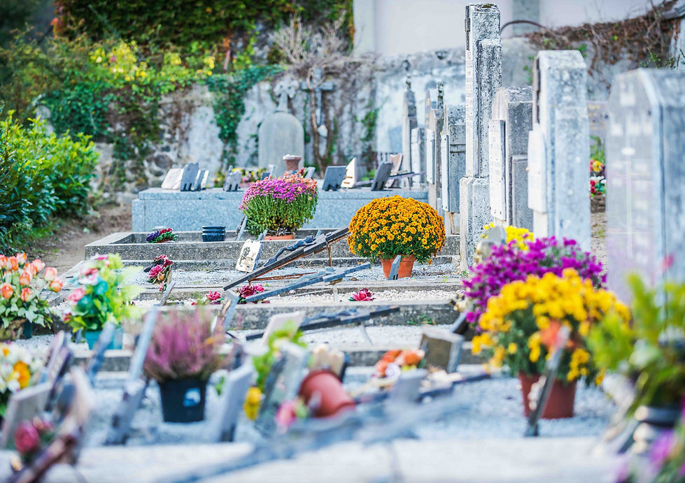 Avent - 2_edited_edited.jpg