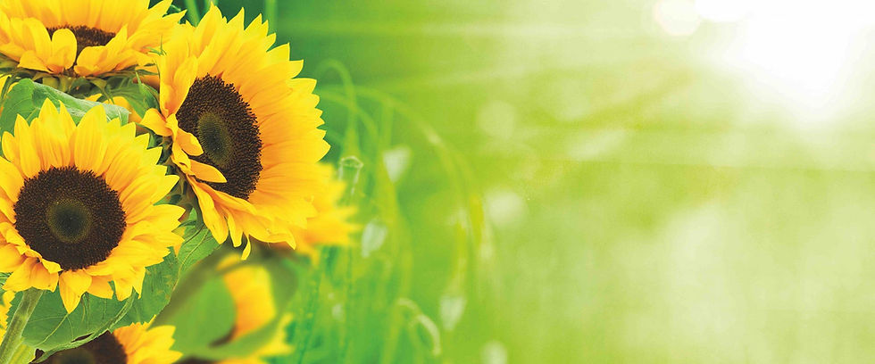 Face à notre faible foi, se tient l'annonce de la résurrection future