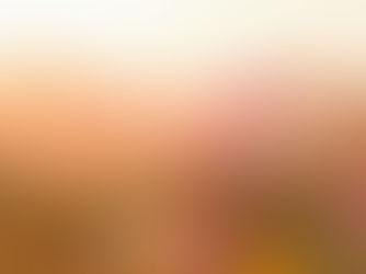 Le Carême, chemin lumineux pour laisser fleurir notre vie dans toute sa beauté.