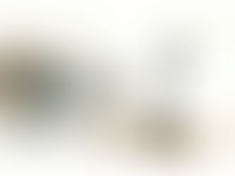 Suivre les traces de Jésus d’une manière qui engage toute notre personne et toute notre vie