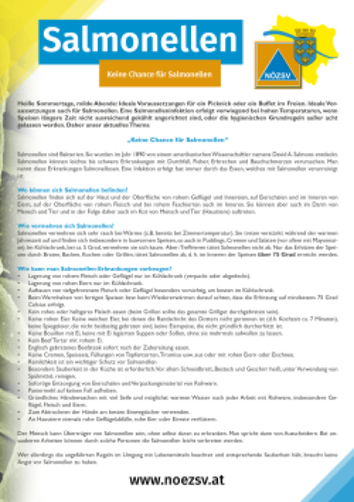 Vorschau: Infoblatt Salmonellen