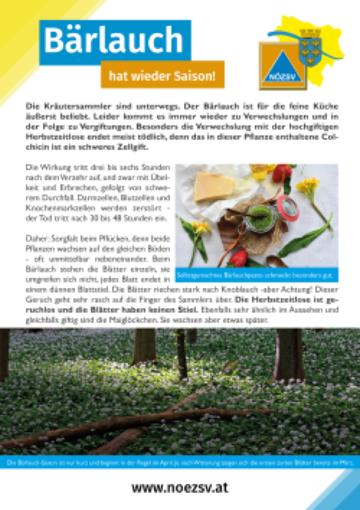 Vorschau: Infoblatt Bärlauch