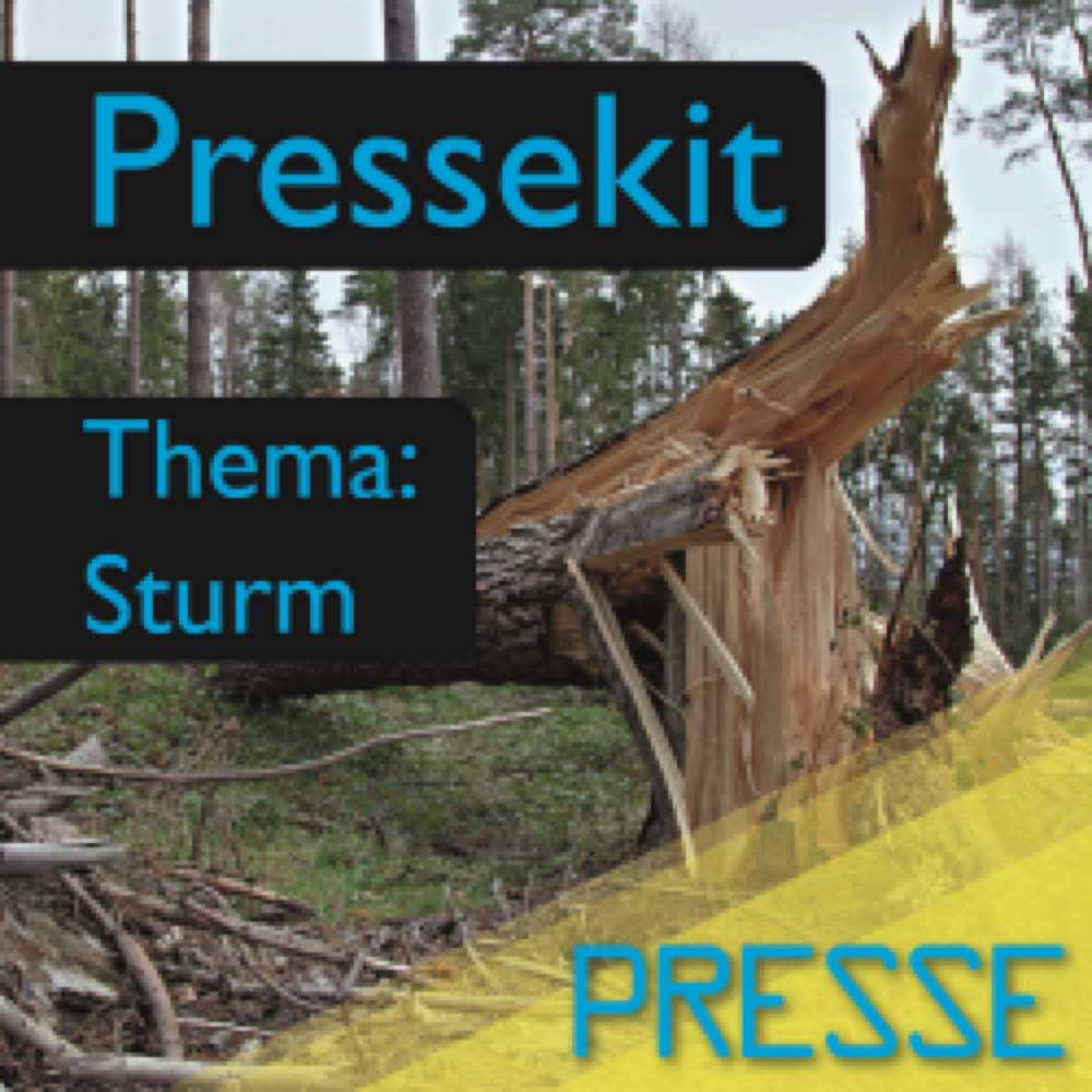 Vorschau: Pressekit - Sturm (Text, Foto, Inserat)