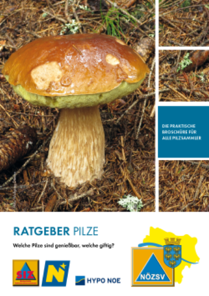Vorschau: Ratgeber Pilze