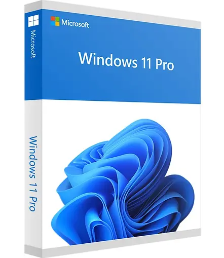 Windows 11